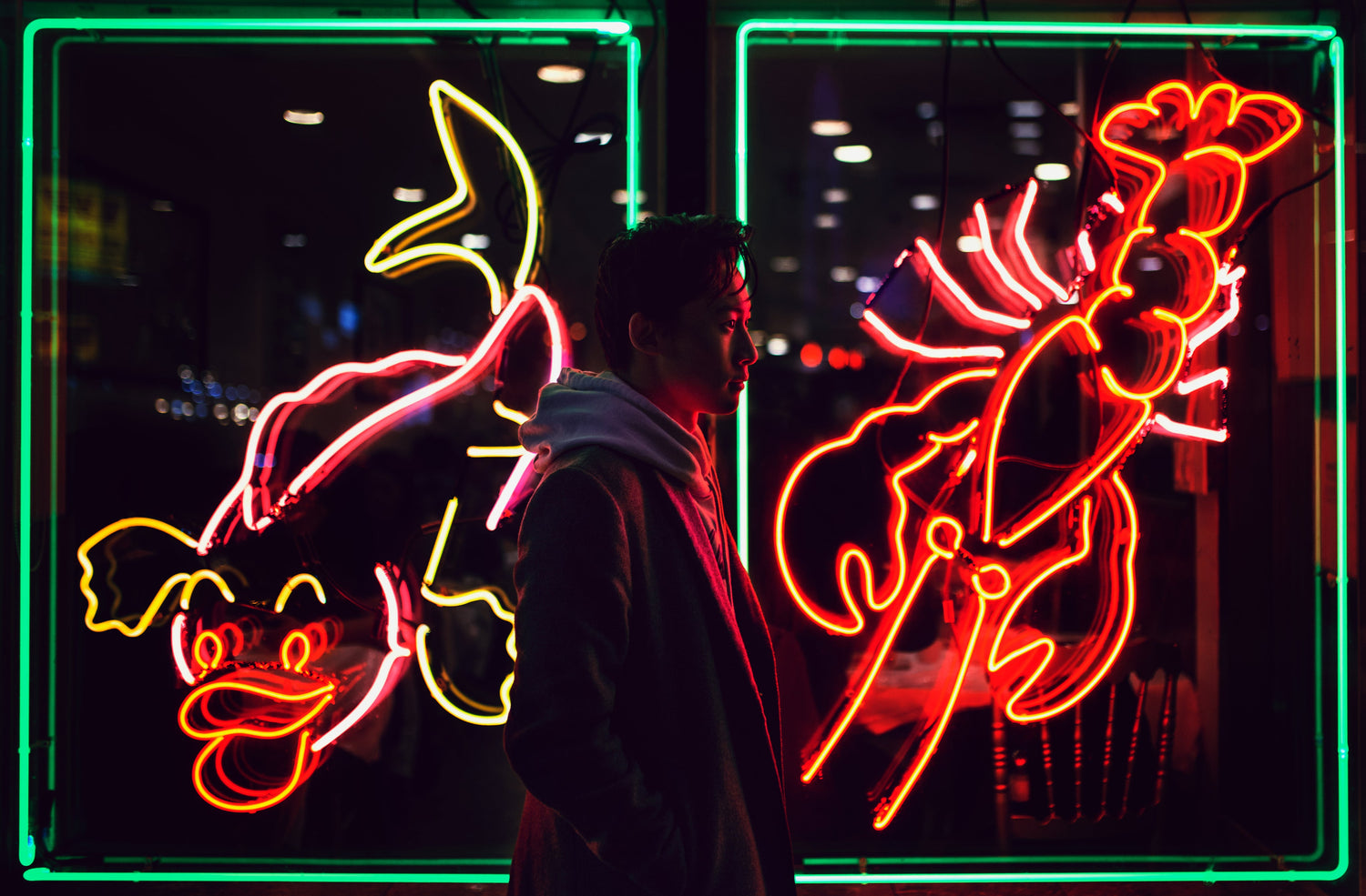 Decor / Lightings